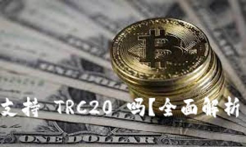 TPWallet 支持 TRC20 吗？全面解析与使用指南
