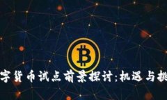 数字货币试点前景探讨：机遇与挑战