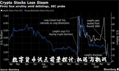 数字货币试点前景探讨：机遇与挑战