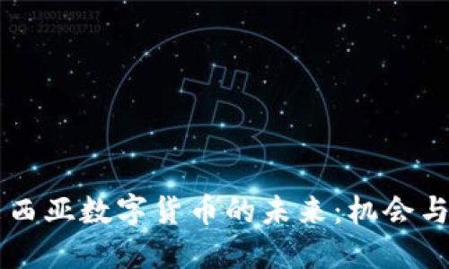 马来西亚数字货币的未来：机会与挑战