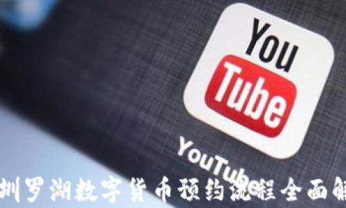 
深圳罗湖数字货币预约流程全面解析