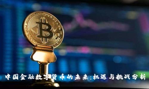 中国金融数字货币的未来：机遇与挑战分析