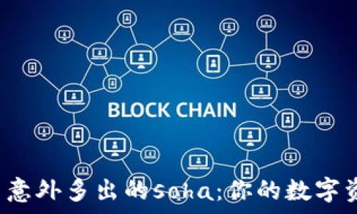   
tpwallet中意外多出的soha：你的数字资产安全吗？